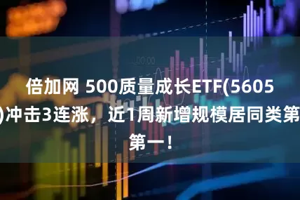 倍加网 500质量成长ETF(560500)冲击3连涨，近1周新增规模居同类第一！