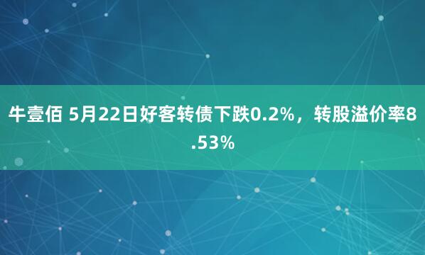 牛壹佰 5月22日好客转债下跌0.2%，转股溢价率8.53%