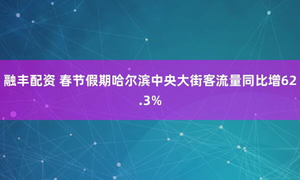 融丰配资 春节假期哈尔滨中央大街客流量同比增62.3%