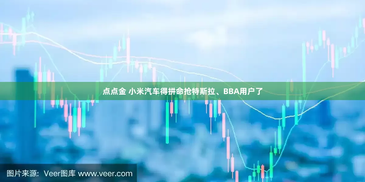 点点金 小米汽车得拼命抢特斯拉、BBA用户了